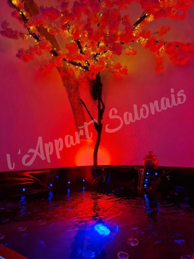 Lappart-Salonais 70M2 Avec Jacuzzi Privatif Kültér fotó